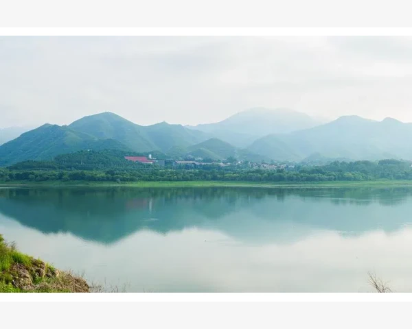 生姜的神奇功效：驱寒祛湿的最佳搭配