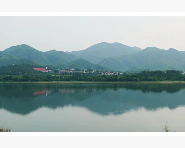 党参还是红参补血更好？根据中医学，两者皆有其优势